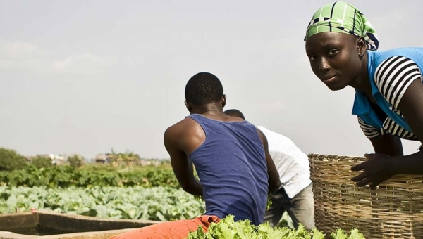 10 ans d’actions au service de l’agriculture familiale en Afrique de l’ouest