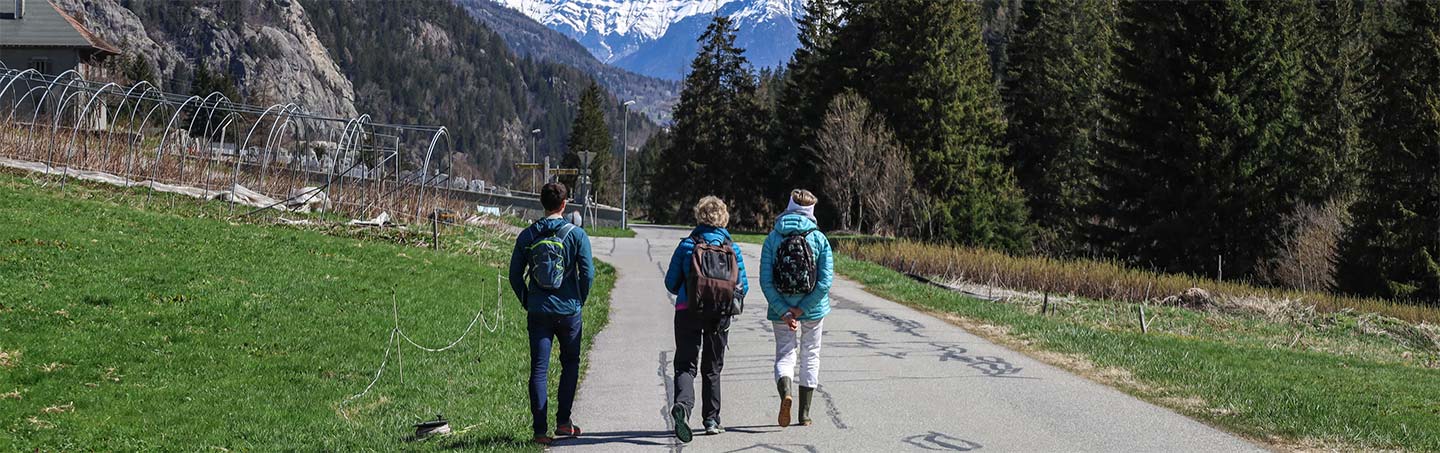 Biodiversité : focus sur les engagements du centre CREA Mont-Blanc, dans la vallée de Chamonix