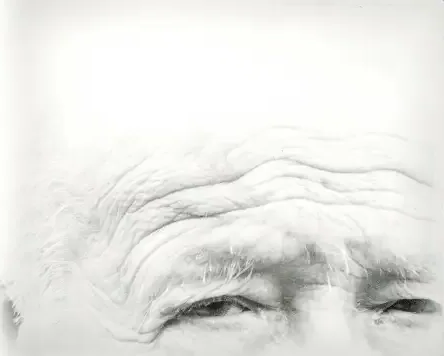 Les yeux Bretagne 2013 copie
