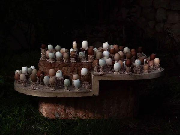 À LOMBRE DU COQUETIER copie