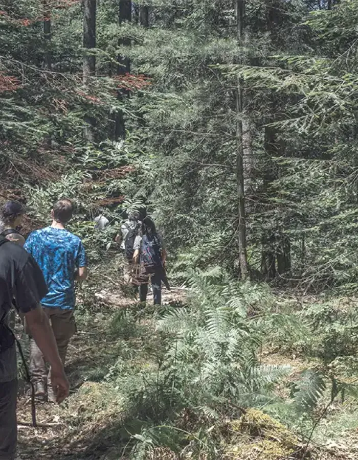 Forêts françaises : la philanthropie s’unit pour une gestion vertueuse