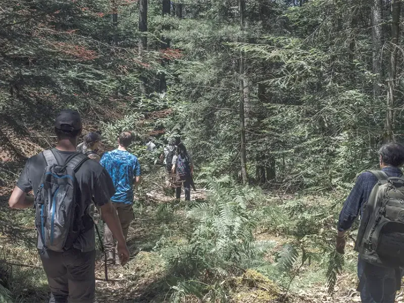 Forêts françaises : la philanthropie s’unit pour une gestion vertueuse