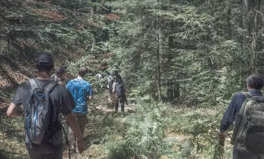 Forêts françaises : la philanthropie s’unit pour une gestion vertueuse